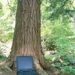 computer-environment computer environment 150x150 10 Ways To Make Your Business ´Greener