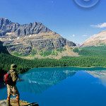 bnp-fish21 Fish among Banff's splendor.
