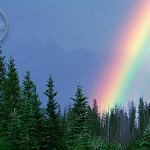 bnp0007_rainbowfairholme bnp0007 rainbowfairholme 150x150 Banff Starter Pack, Canadian Rockies