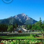 bnf0023_banffaveflowers bnf0023 banffaveflowers 150x150 Dining Specials in Banff – Tommy’s Neighbourhood Pub