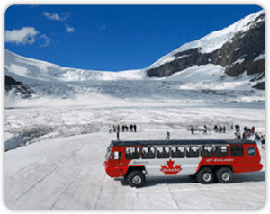 columbia icefield columbia icefield 300x238 Columbia Icefield Tours
