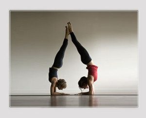 theyogalounge 300x241 Yoga in Banff National Park